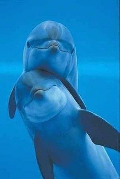 IMG 20170701 141016 4