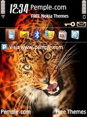 Leopard 6