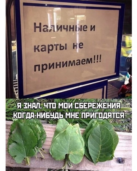FB IMG 1777750207204