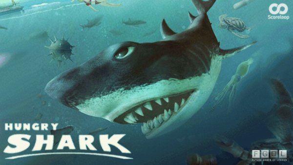 Hungry Shark