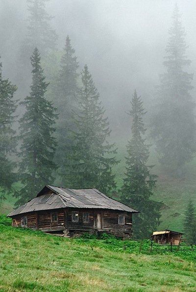 file_101540535