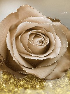 file_51712556