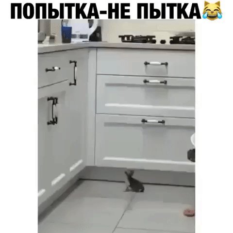 IMG 20210607 104245