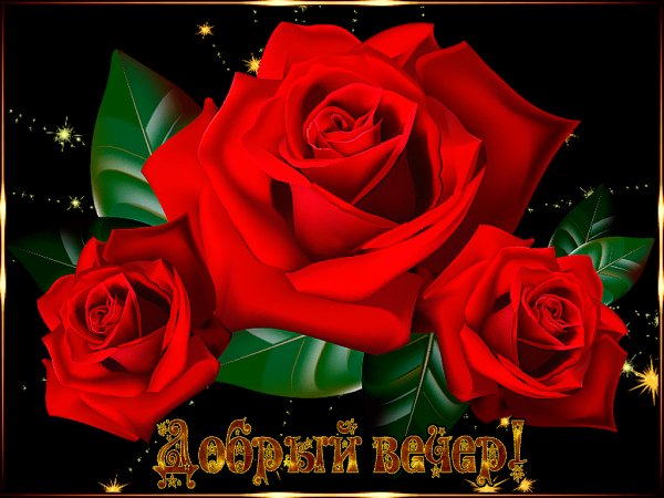 Добрый вечер