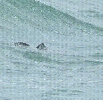 Удачно Порыбачил!!!