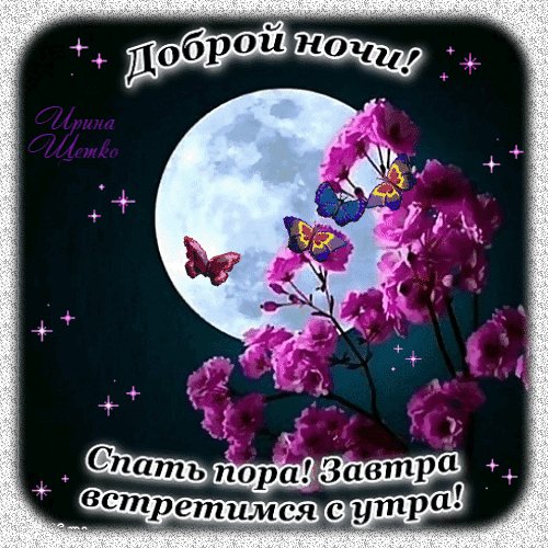 Анимированная открытка доброй ночи (5)