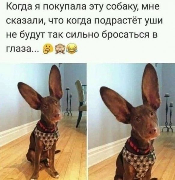 FB IMG 1776781713908