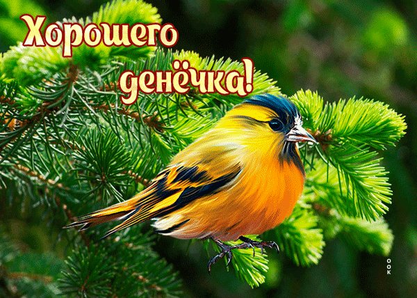 Анимированная открытка хорошего денёчка (1)