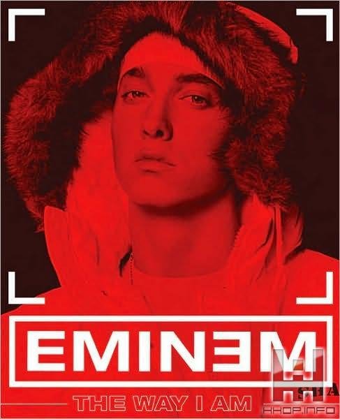 Eminem-The way i am