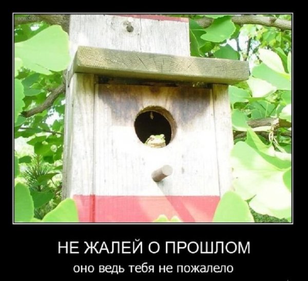 Не жалей о прошлом