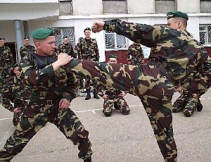 Рукопашный бой