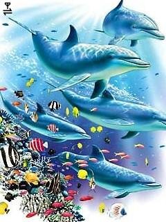 dolphin