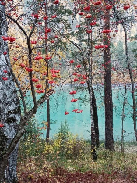 FB IMG 1634057936174