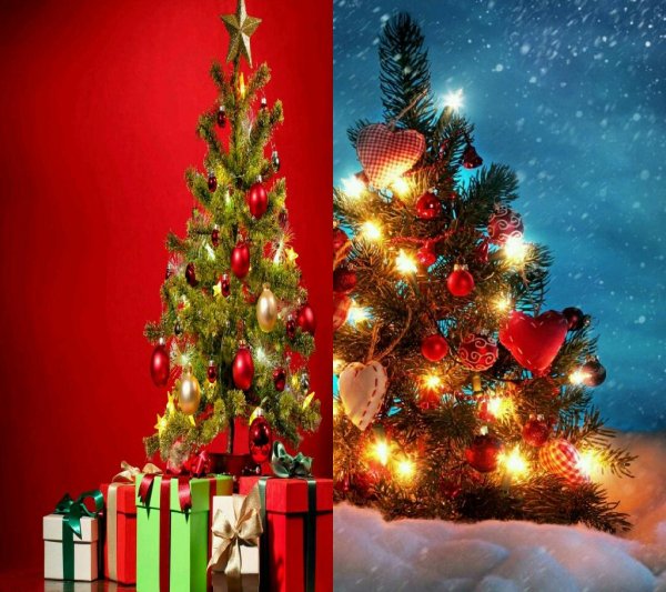 Xperia Christmas v1.1(2)