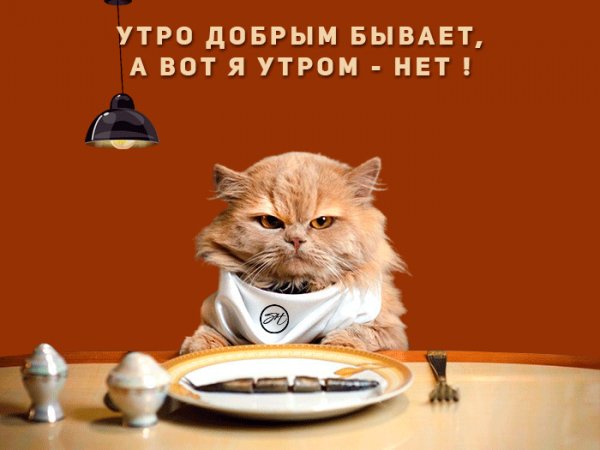 file_92597212