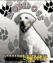 Mobidogs