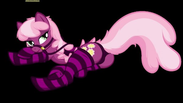 panties and stocking for cheerilee by ju