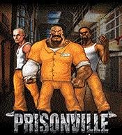 Prison Ville nok s60 24x320