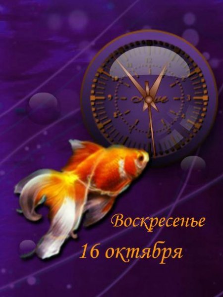 золотая рыбка (Love)