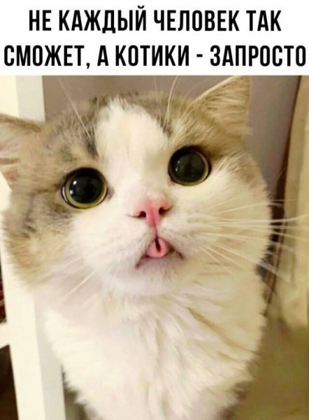 FB IMG 1774618466212