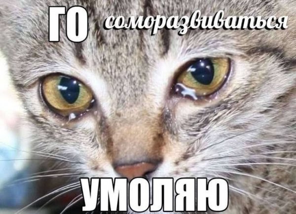 Когда на уроке информатики начинаешь дурачиться,но: