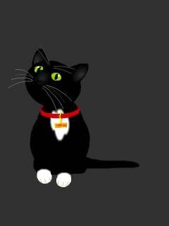 Black Cat 1