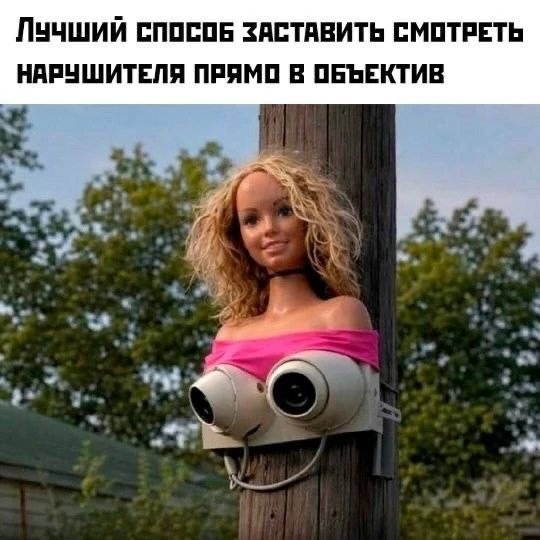 file_102515398