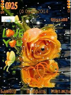Orange love rose анимация