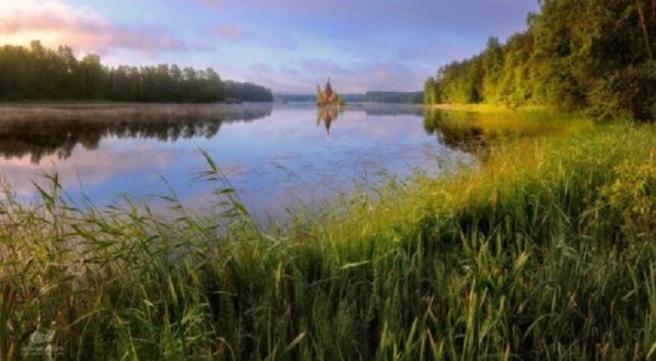 file_68462272