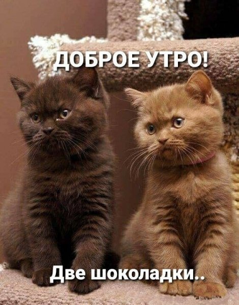 file_90735762