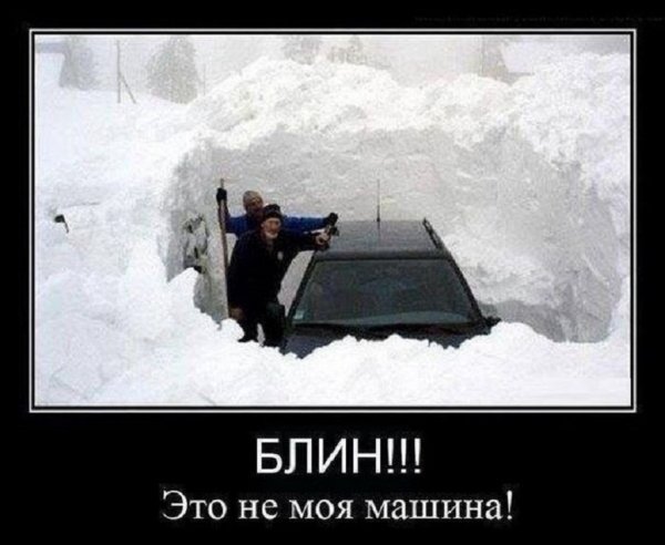 Где-то на Камчатке...