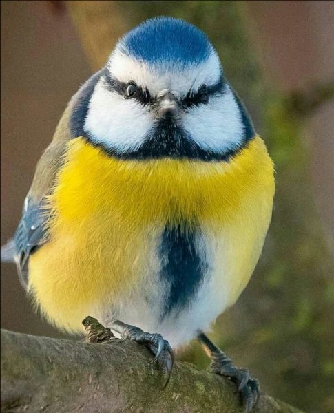 IMG 20211231 185523 089