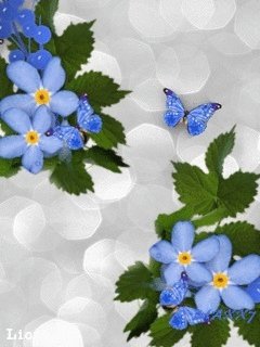 file_58377056