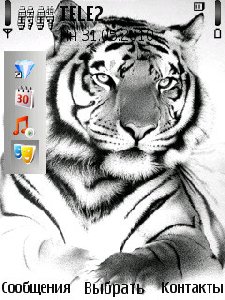 tiger