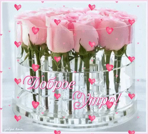 ДОБРОЕ УТРО