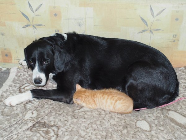 PLMOJBUHVYGCTFXRDZEK28