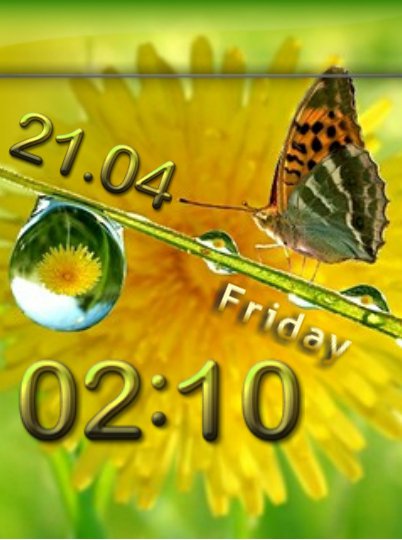 Butterfly Morning (Patsak)