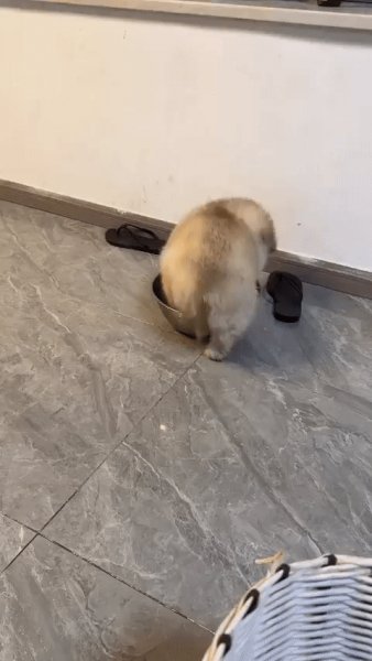 В ожидании завтрака)