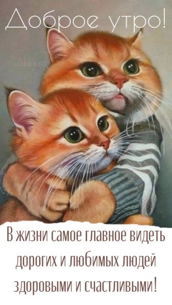 Dee9434785d0b83a58db34853257db70