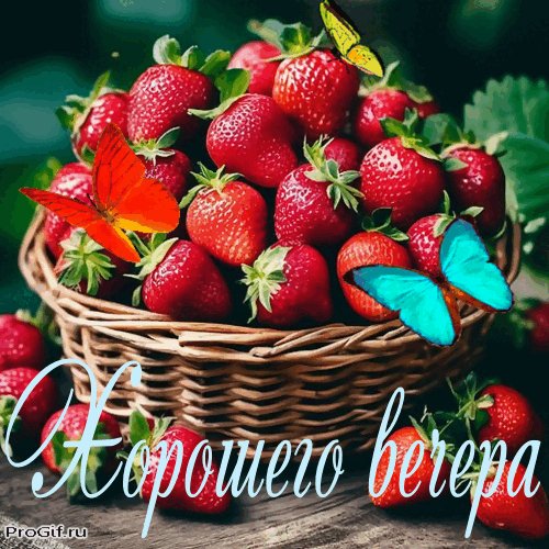 Добрый вечер