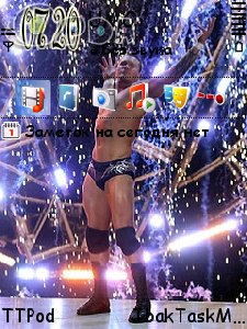 wwe randy