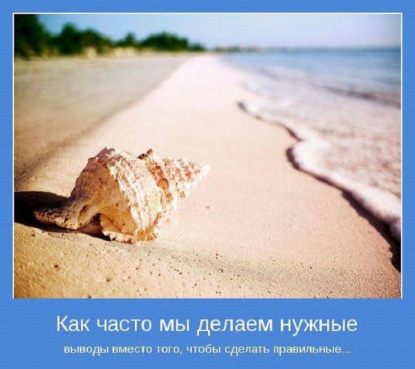 Как часто мы делаем нужные выводы...