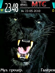 Blak Pantera