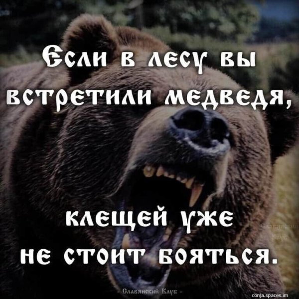 IMG 20221225 111908-