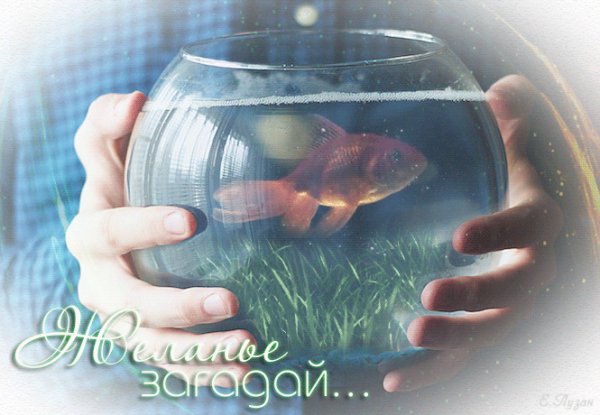 Загадай желание....