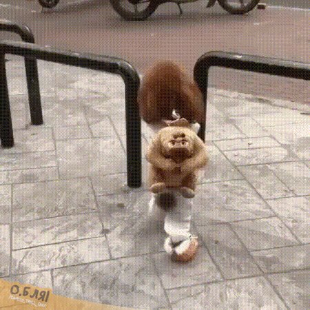 73eb9d2941b04faedbe0bfab548a46e3