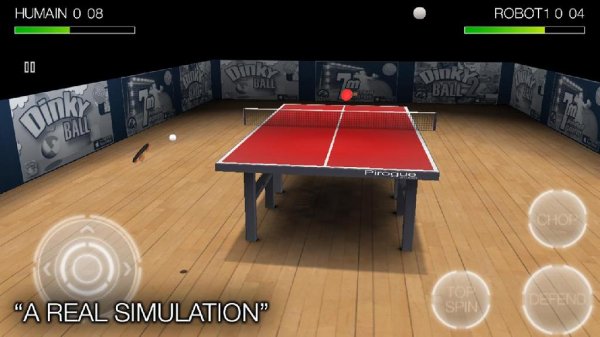 Pro Arena Table Tennis v.1.0.0