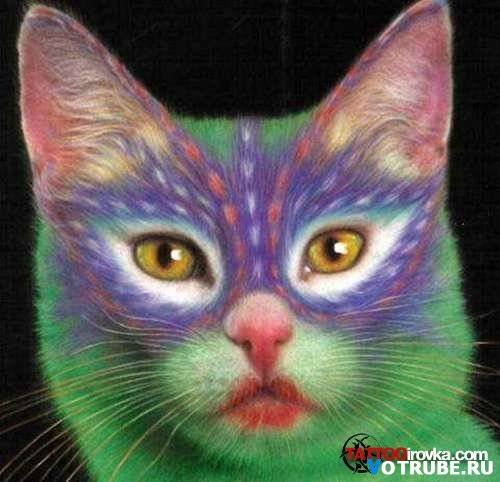 tattoocat004