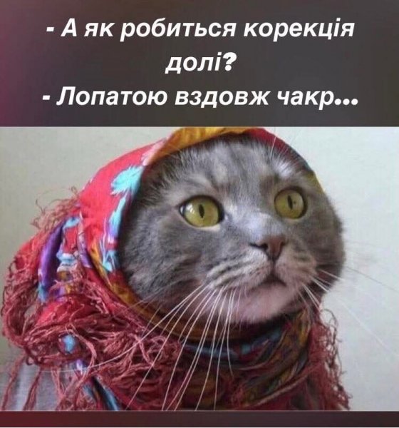 FB IMG 1776446815962