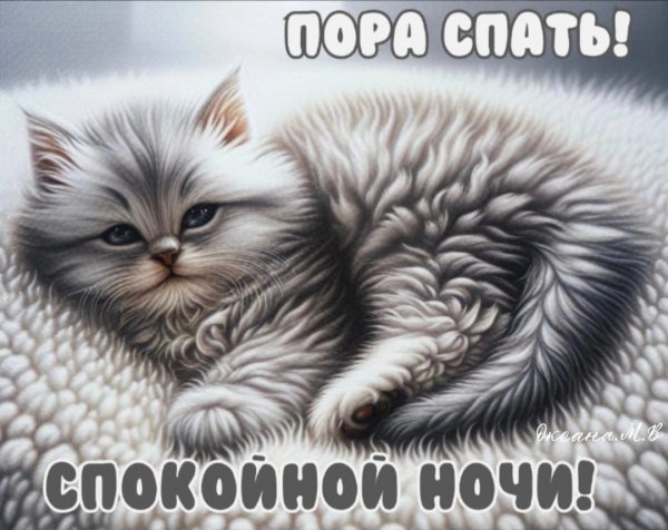 IMG-20240807-WA0002